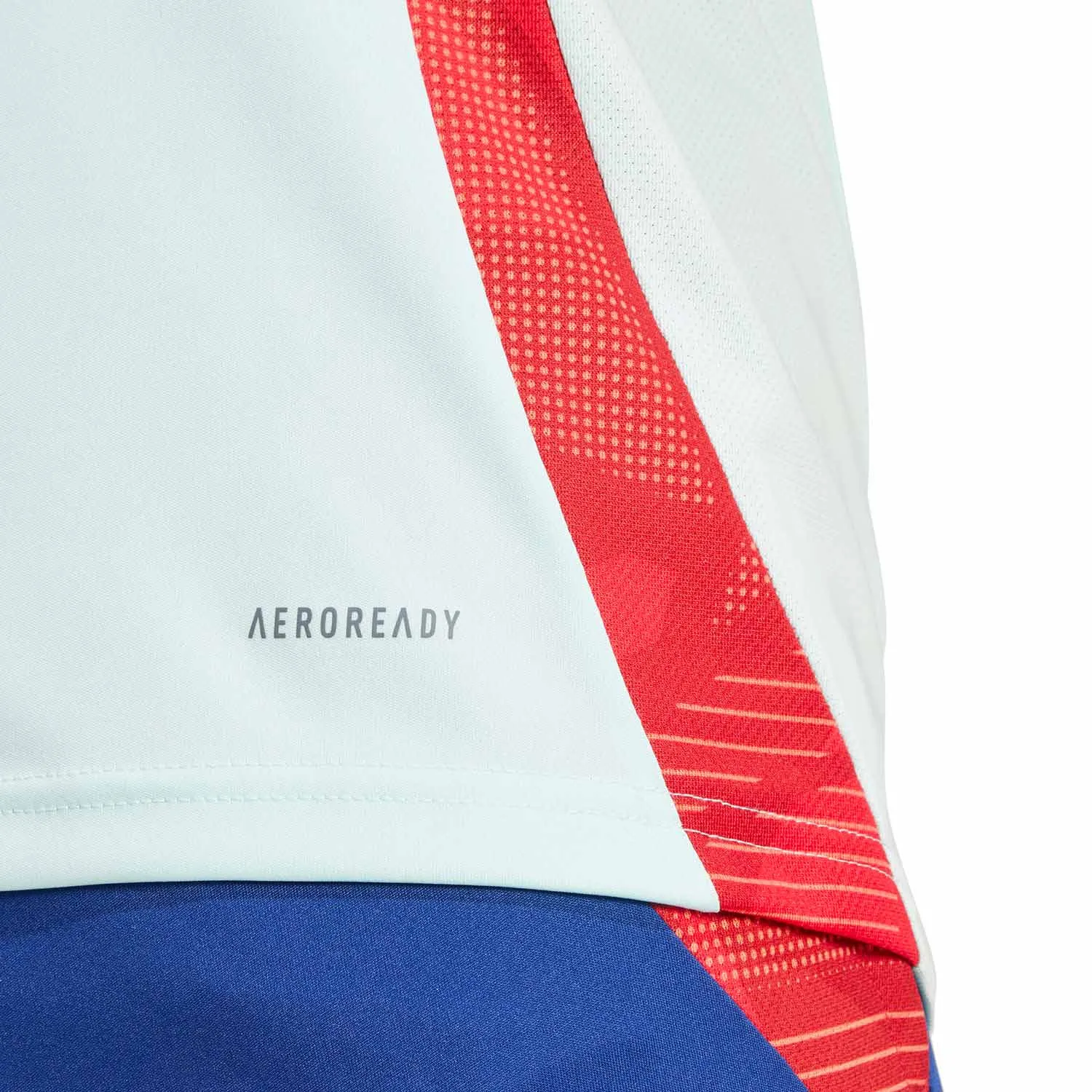 Camiseta adidas España entrenamiento