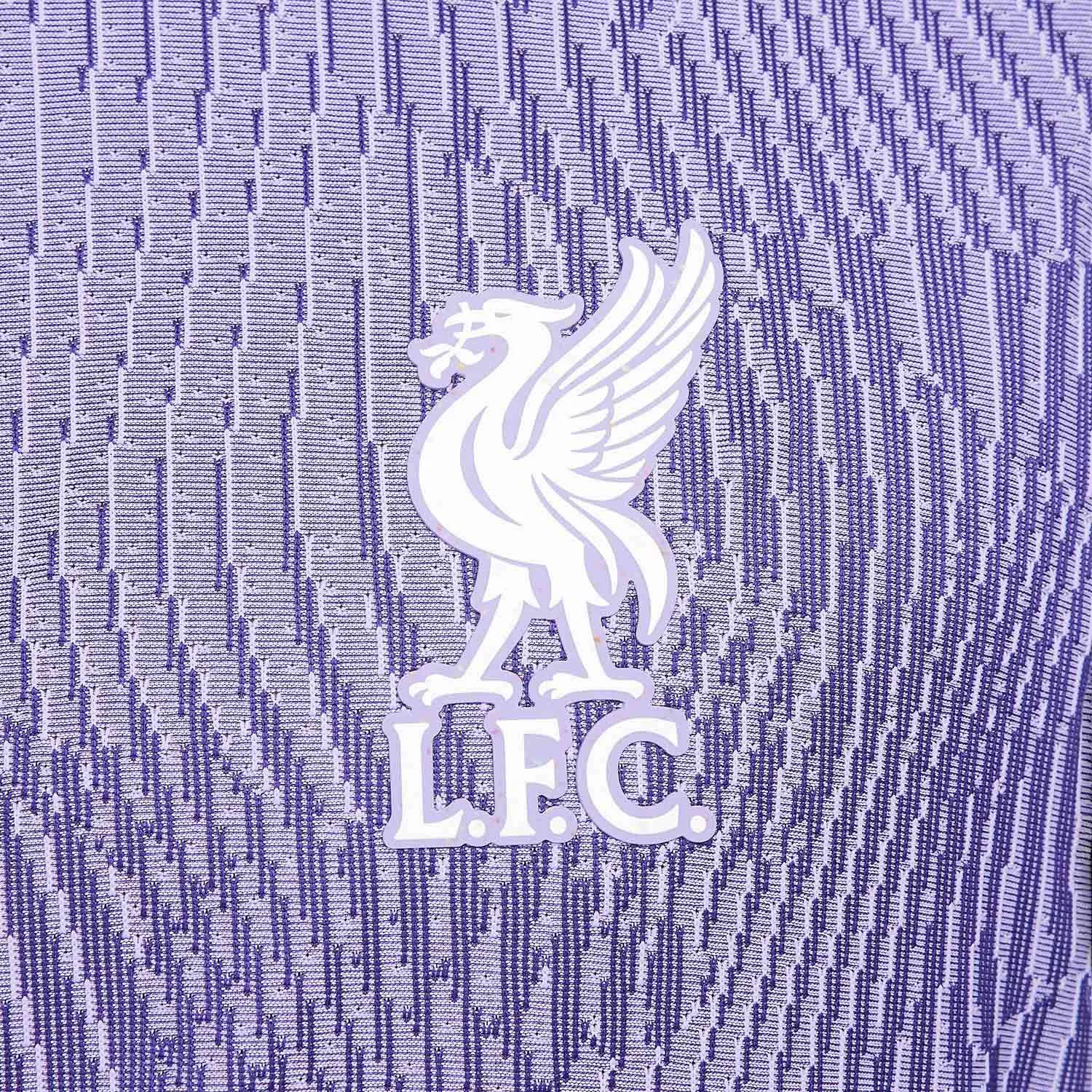 CAMISETA NIKE 3A LIVERPOOL VAN DIJK 23 24 DRIFIT ADV MATCH