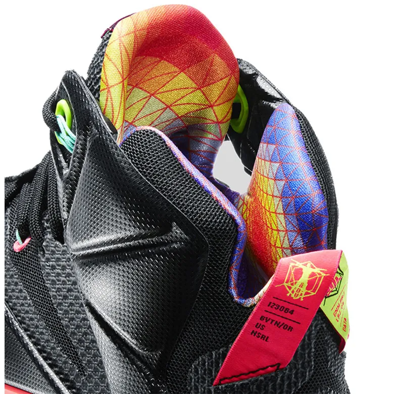 Lebron XII "Data" (068/negro/crimson)