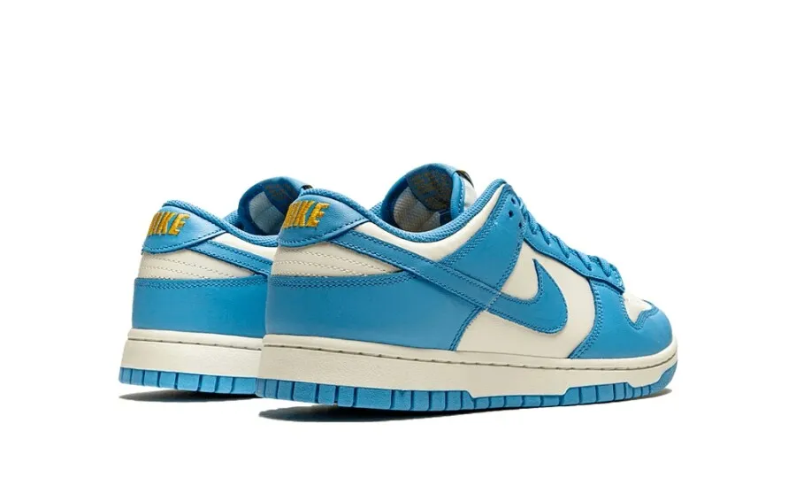 Nike Dunk Low Coast (W)