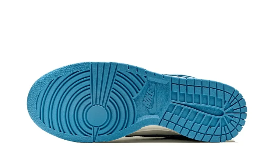 Nike Dunk Low Coast (W)