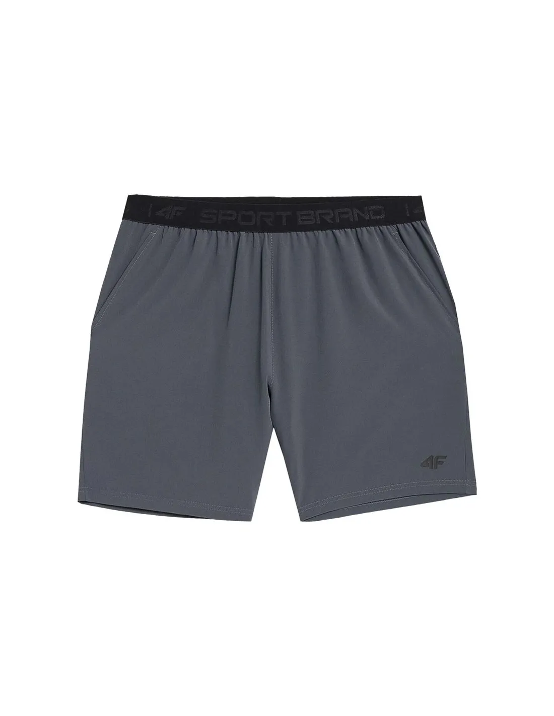 Pantalones de fitness 4F gris Hombre