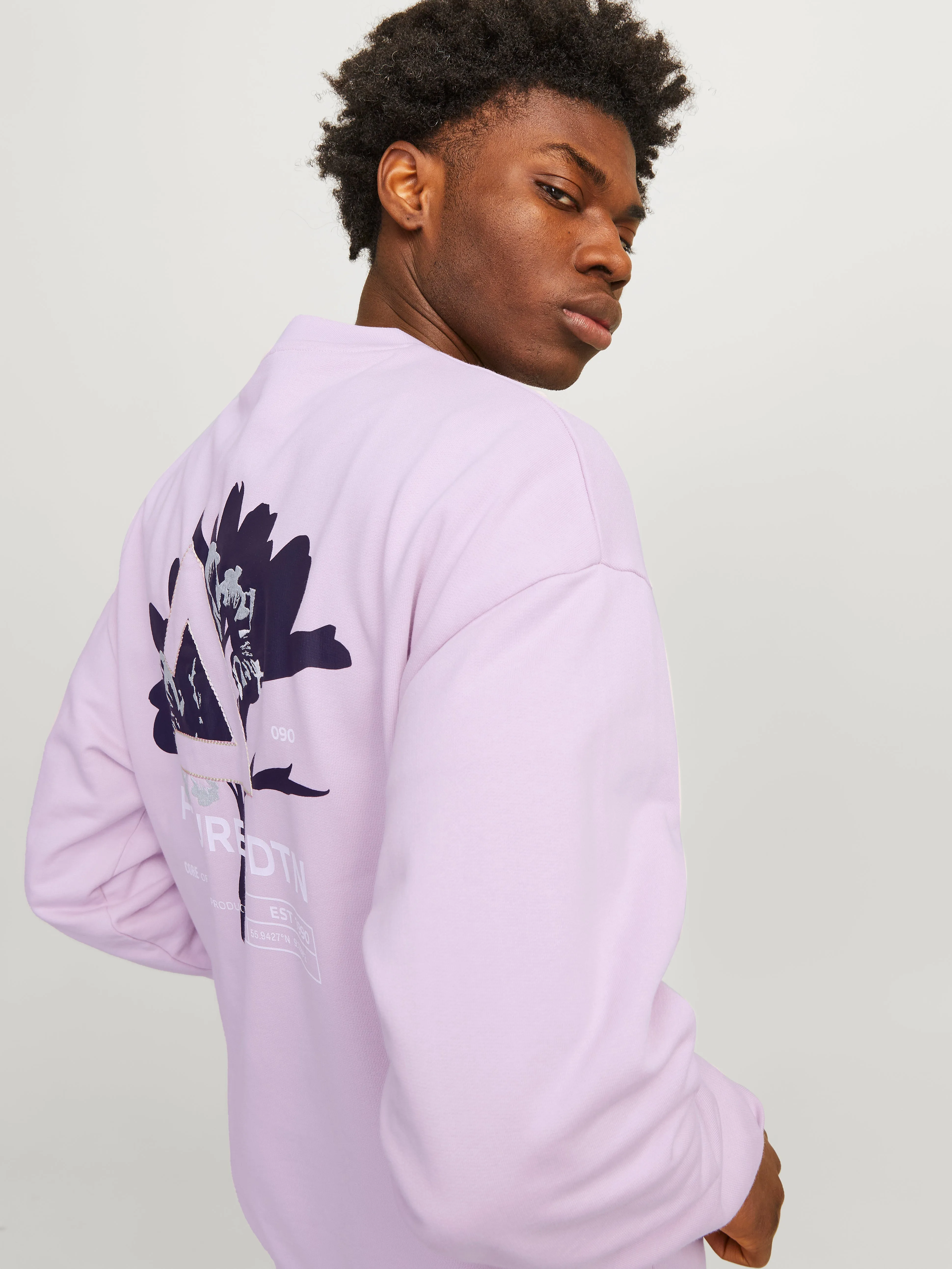 Sudadera Estampado | Violeta claro | Jack & Jones®