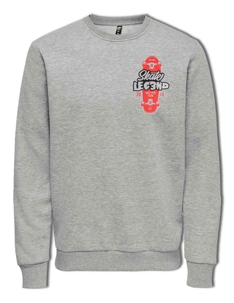 Sudadera Legend Tony Hawk gris